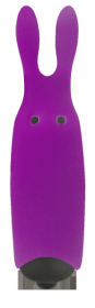 Adrien Lastic Pocket Vibe Purple Clitoral Stimulator